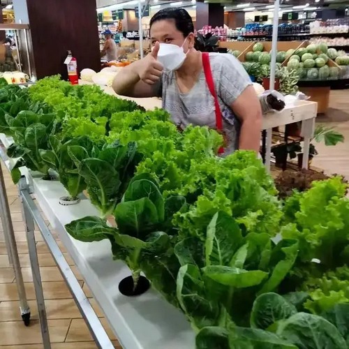{当前产品的产品关键词轮巡使用}